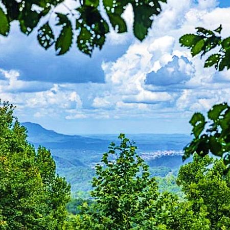 Views, Game Room And Hot Tub Bearway To Heaven セバービル エクステリア 写真